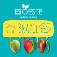 ESOESTE AGRICOLA DO BRASIL logo - Similar company to Rafitos Industria E Comercio De Alimentos
