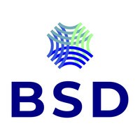 BuildSolutions Dynamics logo - Similar company to Mumbai Smiles