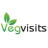 Vegvisits logo - Similar company to Logicsense Limited