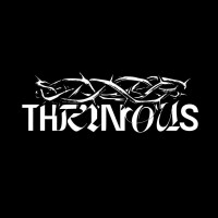 Thrinous logo - Similar company to Simplicityai