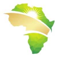 Waves Energy Africa logo - Similar company to Orange Solar