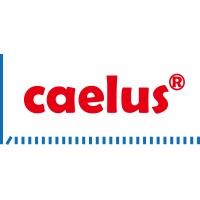 Caelus Technologies logo - Similar company to Bwsea Technology Group