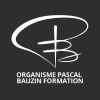 Pascal Bauzin Formation logo - Similar company to Soleecit