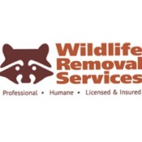 Wildlife Removal Services