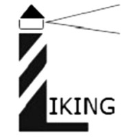 LiKing Marketing logo - Similar company to My Red Glasses