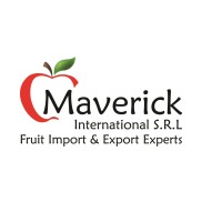 MAVERICK INTERNATIONAL S.R.L logo - Similar company to Mr3 Srl