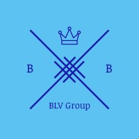 BLV Group logo - Similar company to Consed International