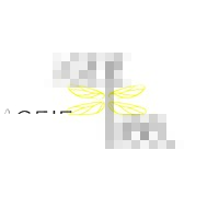De gele libel - organisatieadvies logo - Similar company to Verbeterbazen