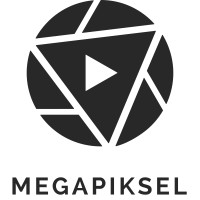 Megapiksel logo - Similar company to Behrens