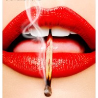 Tony Kelly logo - Similar company to 011Bureau