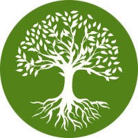 Devtree Digital Solutions Ltd logo - Similar company to Crypto Monks