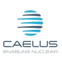 CAELUS logo - Similar company to Caerus