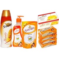 santhoor soaps logo - Similar company to Prime Group