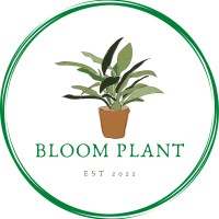 Bloom Plant logo - Similar company to Kangaroo Seeds