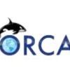 Orca Instalacoes Eletricas E Civil logo - Similar company to Disponível
