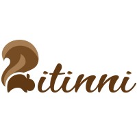 itinni logo - Similar company to Pluszero, Inc