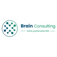 Brain Consulting logo - Similar company to Vision Drc
