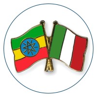 Ethiopian Embassy in Rome logo - Similar company to Zambian Embassy