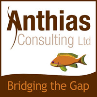 Anthias Consulting Ltd. logo - Similar company to Amz Training
