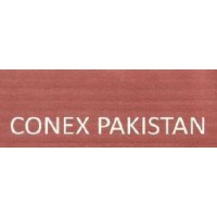 CONEX Pakistan (Pvt.)Ltd. logo - Similar company to Codenexus Digital