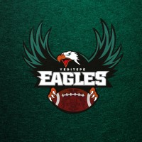 Yeditepe University Eagles logo - Similar company to Koç Rams