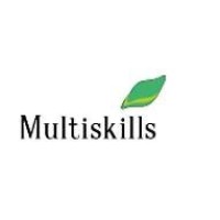 Multiskills LLС logo - Similar company to Provodnik