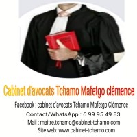 Cabinet d'Avocats TCHAMO MAFETGO Clémence logo - Similar company to Mendomo & Partner Cabinet D'Avocats