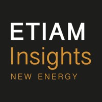 ETIAM Insights logo - Similar company to Proinso Award-Winning Services For Solar Energy Projects