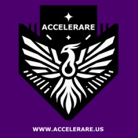 Accelerare logo - Similar company to Intention Technology