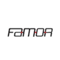 FAMOR ENGINEERING S.r.l. logo - Similar company to Aixtron Ag