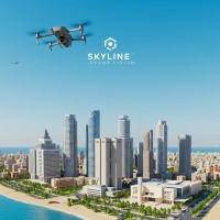 Skyline Drone Vision logo - Similar company to Get.In