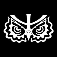 Psybir logo - Similar company to Scaling.Ae