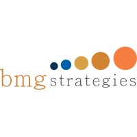 bmgstrategies llc logo - Similar company to Budgrub