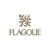 Flagolie logo - Similar company to Lexnonstop