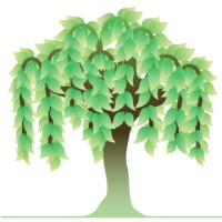 Willow Tree Psychology and Wellbeing logo - Similar company to Graymind Psychology