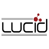 Lucid Infotech logo - Similar company to Lucidtech
