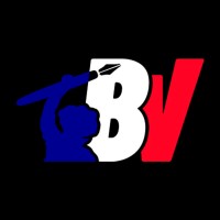 Boulevard Voltaire logo - Similar company to Causeur.Fr