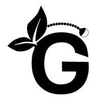 DN GREENS logo - Similar company to Gis-Väst