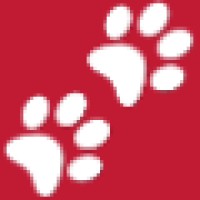 Atlanta Veterinary Specialists