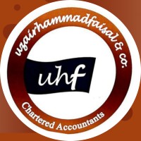 Uzair Hammad Faisal and Co Chartered Accountants logo - Similar company to Allyance Ltd