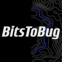 BitsToBug Studios logo - Similar company to Scankarle