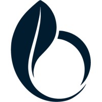 Bonsai logo - Similar company to Vidpresso