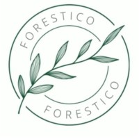 Forestico logo - Similar company to Stellarprep