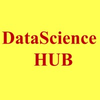 DataScienceHub logo - Similar company to Interdisciplinary Network For Technology And Entrepreneurship Research In Africa