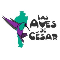 Las Aves de Cesar logo - Similar company to Potato Studios