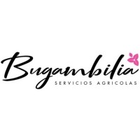 Servicios Bugambilia Ltda logo - Similar company to Redibuk Property Managers