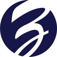 Zelt Insights & Strategy LLC logo - Similar company to Wallkit