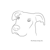 The Honey Group Limited