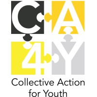 Collective Action for Youth logo - Similar company to Intertwined