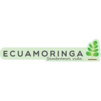 Ecuamoringa logo - Similar company to Kern Grosse Mz S.C.
